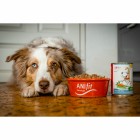 Dog Accessories Wet pet food Wrong Bunny (Falscher Hase) 400g 6 Piece -3- Anifit